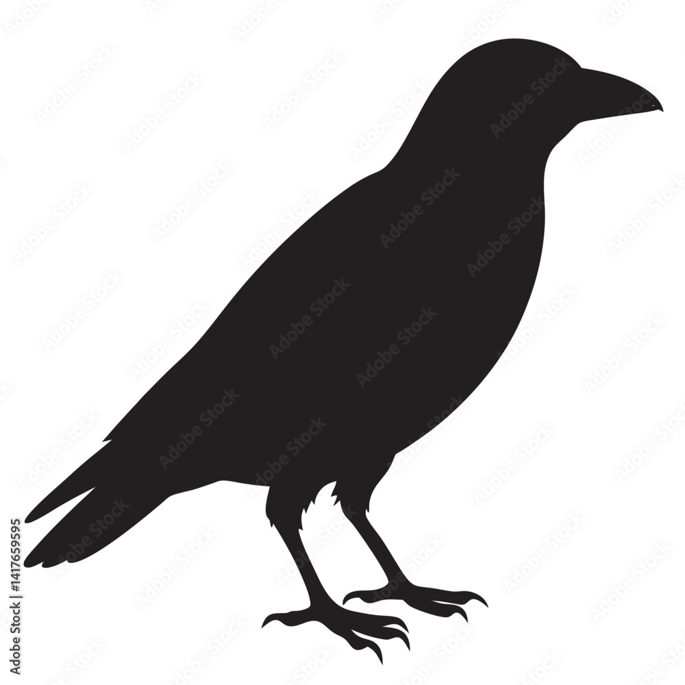 Obraz premium silhouette bird crow