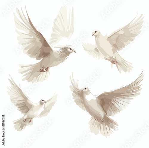 illustration, drawing, fly, vector, bird, white, symbol, wing, animal, graphic, dove, freedom, isolated, peace, background, nature, art, concept, flight, decorative, pigeon, branch, icon, design, wild