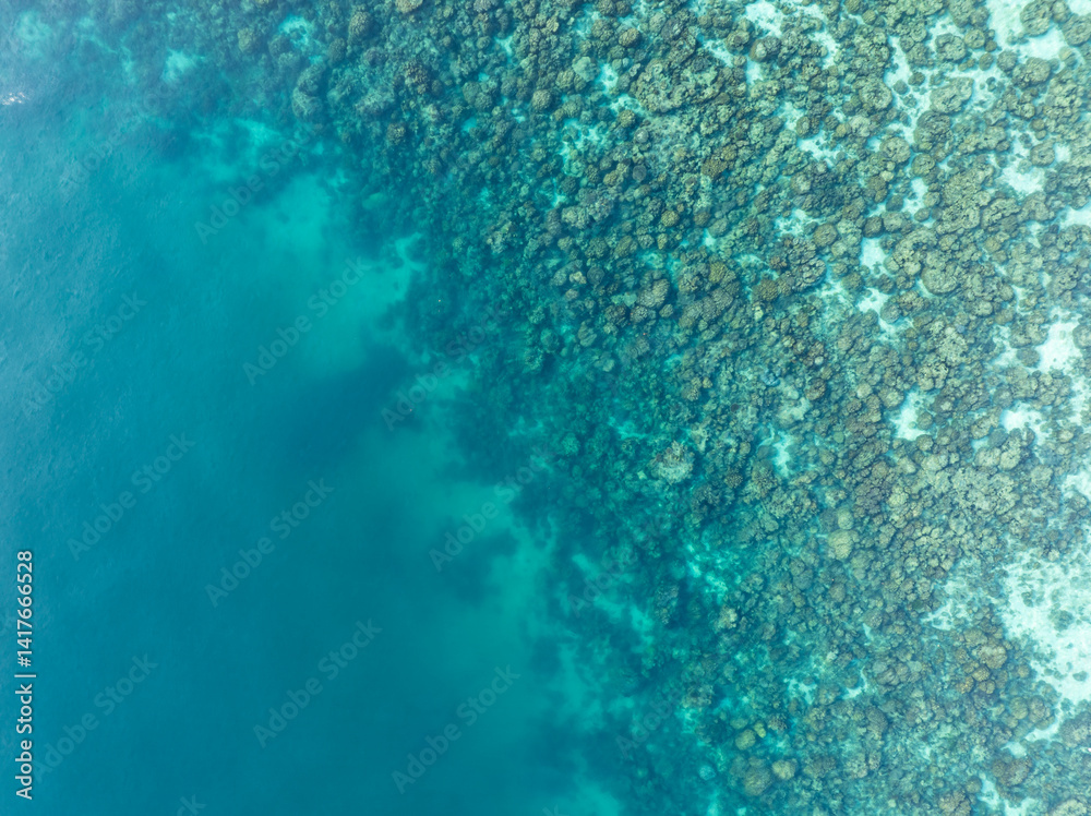 Top-down aerial image of a coral reef transitioning into deeper ocean waters, revealing a vibrant underwater world and marine textures in a tropical environment.