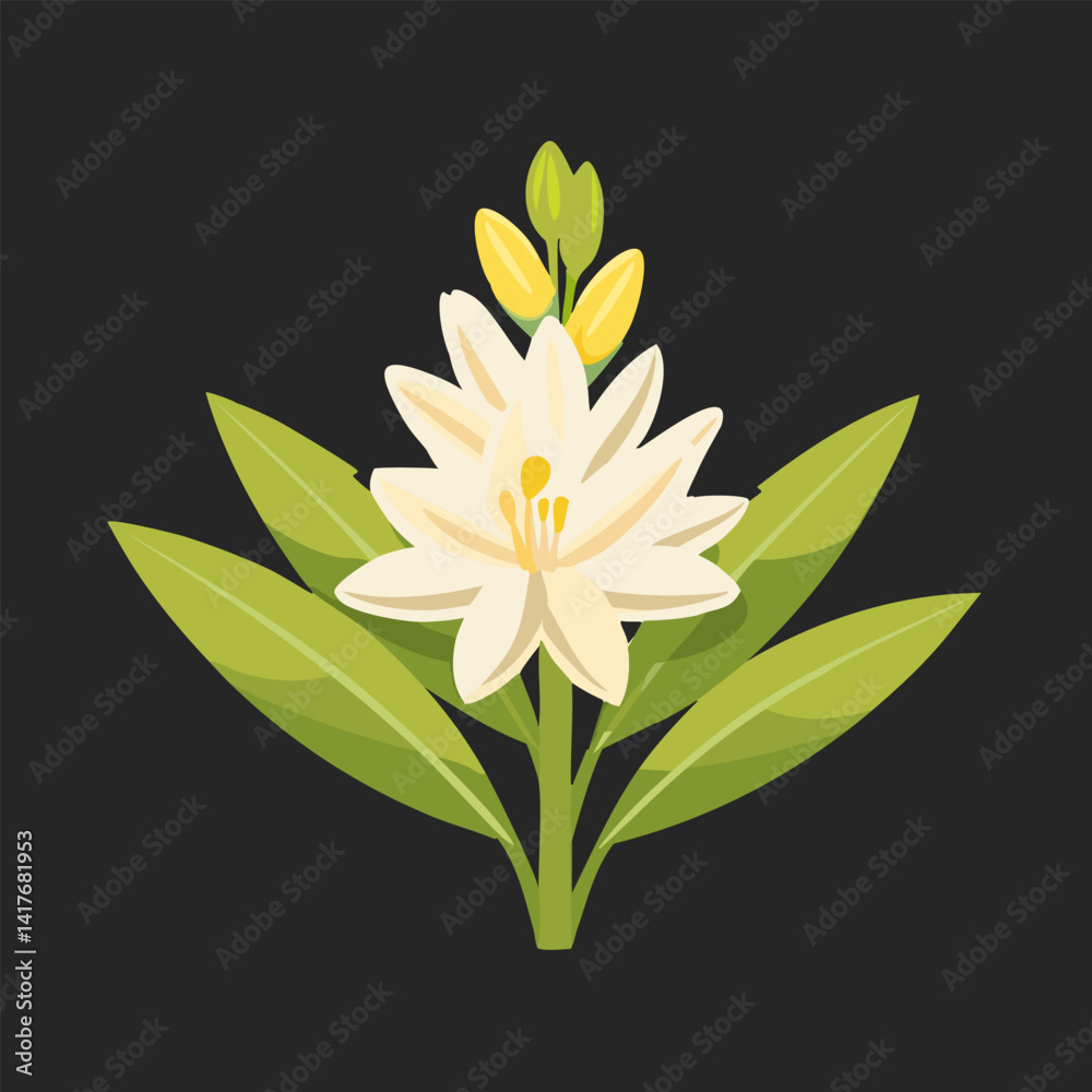 Obraz premium Floral Vector icon, jasmine Flower Beautiful Illustration , Cute and soft looking flower