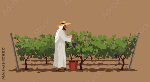 Arabian Farmer Harvesting Purple Grapes In A Vineyard Under Sunlight Wearing Traditional White Garments And Straw Hat