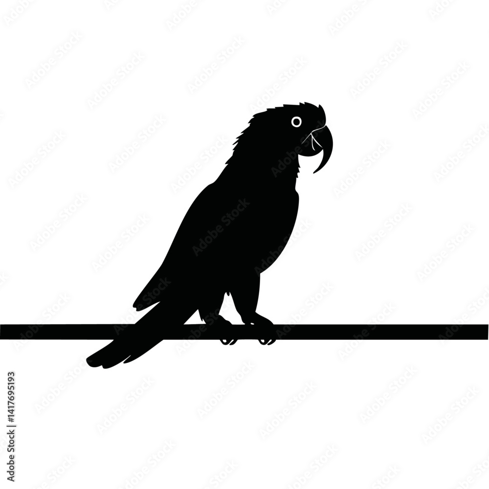 black and white parrot silhouette vector graphic design