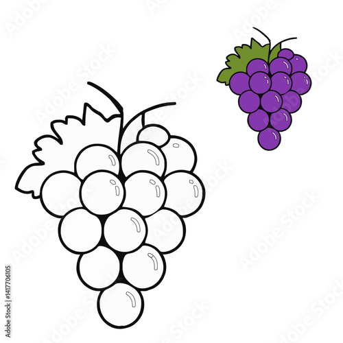 vector illustration of grapes coloring pages 