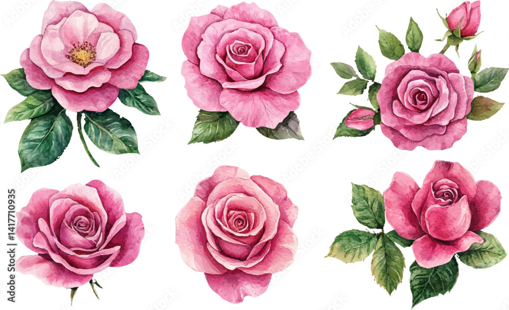 Fototapeta premium set of pink roses vector