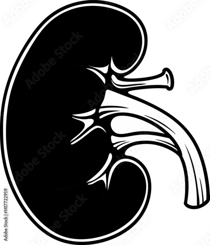 Set of human kidney vector icons Silhouette Vector 10 EPS.