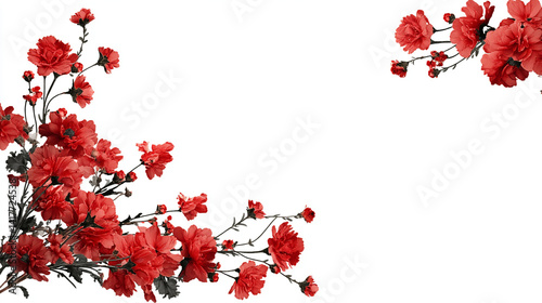 Obraz na płótnie A bunch of red geranium flowers in full bloom, beautifully displayed against a white background, rote Blumen auf dem weißen Hintergrund w salonie