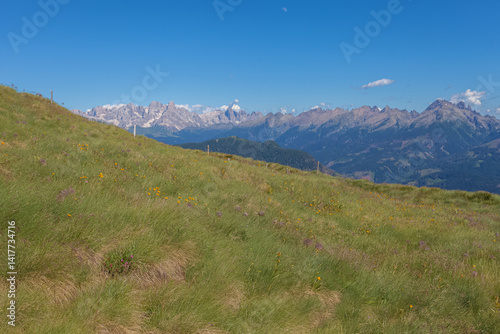 Flowering meadows in the southern side of the Latemar Massif. Lagorai mountain range and Pale di San Martino peaks in the background. UNESCO world heritage site, Trentino-Alto Adige, Italy, Europe