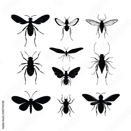 Vector silhouette of collection of flying insect