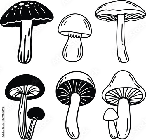 set of mushrooms vector, botanical illustration, forest mushrooms, simple, fun, Nature Design, Artistic Vector, environmental, Wildflora
