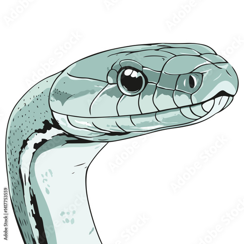 Snake, reptile, vector, background, serpent, viper