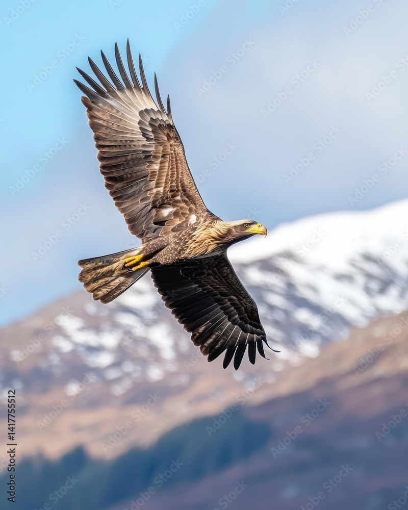 Majestic eagle soaring in the sky showcases the beauty of wildlife. With wings wide open it captures the essence of freedom and nature. Generative AI