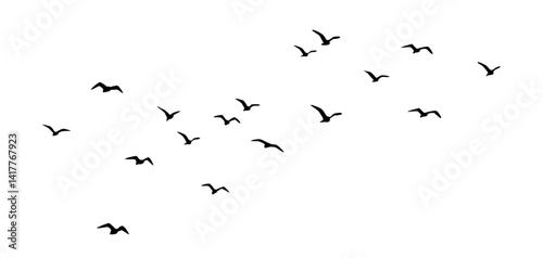 Flying birds silhouettes, group of birds flying, isolated bird flying, birds in flight