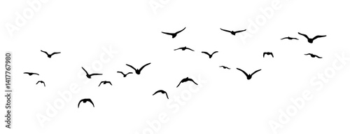 Bird flying, birds in flight, Flying flock of birds vector silhouette
