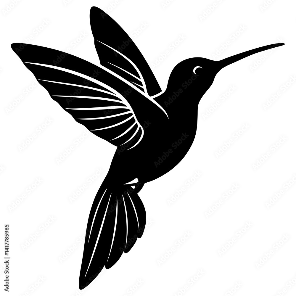 Fototapeta premium hummingbird vector illustration