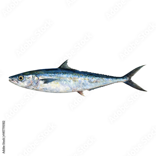 Sardine Fish Side View Isolated Hand Drawn Watercolor Painting Illustration Marine Animal