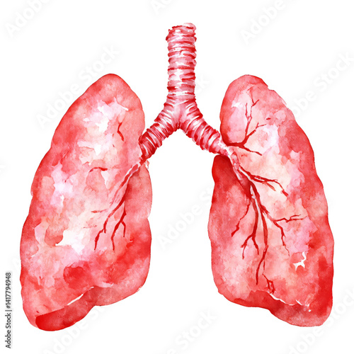 Human Lung Isolated Hand Drawn Watercolor Painting Illustration of Respiratory System Anatomy