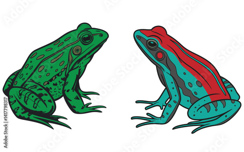 Color Frog  with white background eps 10 vector