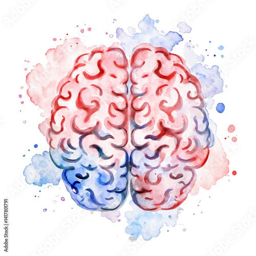 Human Brain Top View Red and Blue Isolated Hand Drawn Watercolor Painting Illustration
