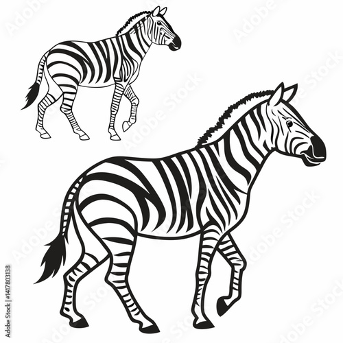 zebra vector illustration