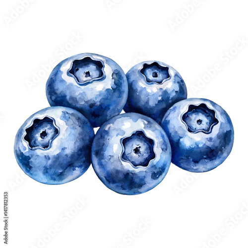 Fresh Five Blueberries Isolated Hand Drawn Watercolor Painting Illustration Healthy Food Berries