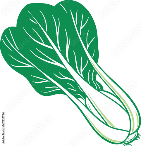 Fresh Green Bok Choy Vector Illustration with Vibrant Leaves and White Stems - Perfect for Healthy Eating and Cooking Projects
