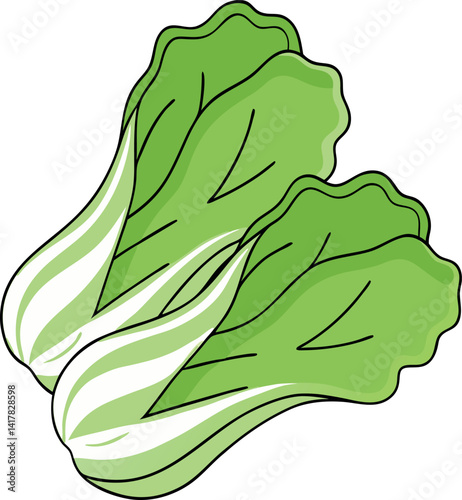 Fresh Green Bok Choy Vector Illustration with Vibrant Leaves and White Stems - Perfect for Healthy Eating and Cooking Projects