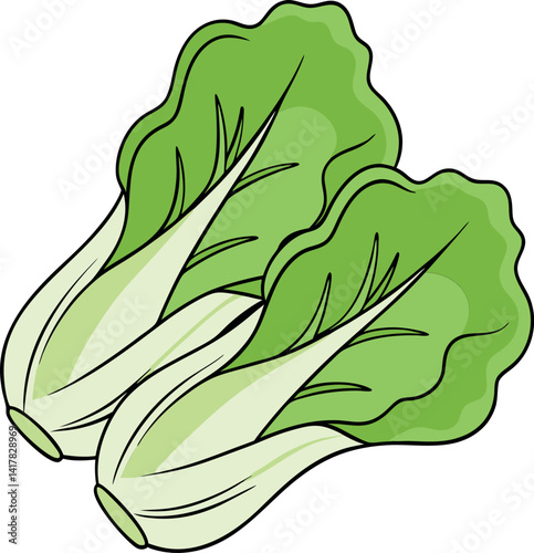 Fresh Green Bok Choy Vector Illustration with Vibrant Leaves and White Stems - Perfect for Healthy Eating and Cooking Projects