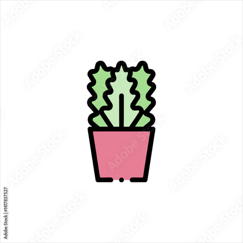 cactus in a pot