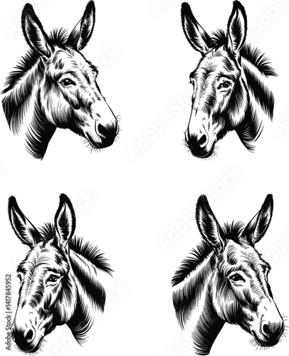 Set of 4 Detailed Black and White Donkey Head Illustrations – Intricate Vector Animal Collection