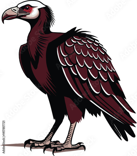 Dark-Eyed Vulture Standing Proud in Stylized Modern Vector Illustration