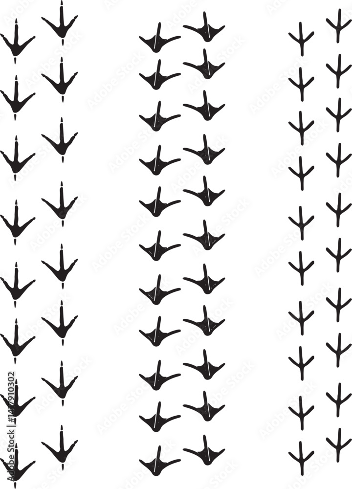 Naklejka premium roster goose dove steps animals birds trace vector