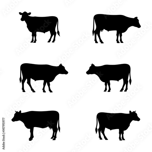 Set black and white cows