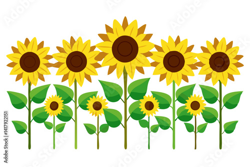 Illustration of several sunflowers with green leaves and brown centers arranged in a row on white background