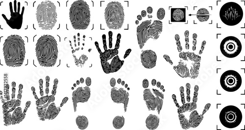Animal tracks - foot print guide vector