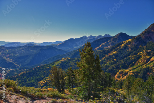 Obraz na płótnie Box Elder Peak hiking views from trail, American Fork Canyon. Lone Peak, Mt Timpanogos, Wasatch Range Rocky Mountains, Utah, United States. w salonie