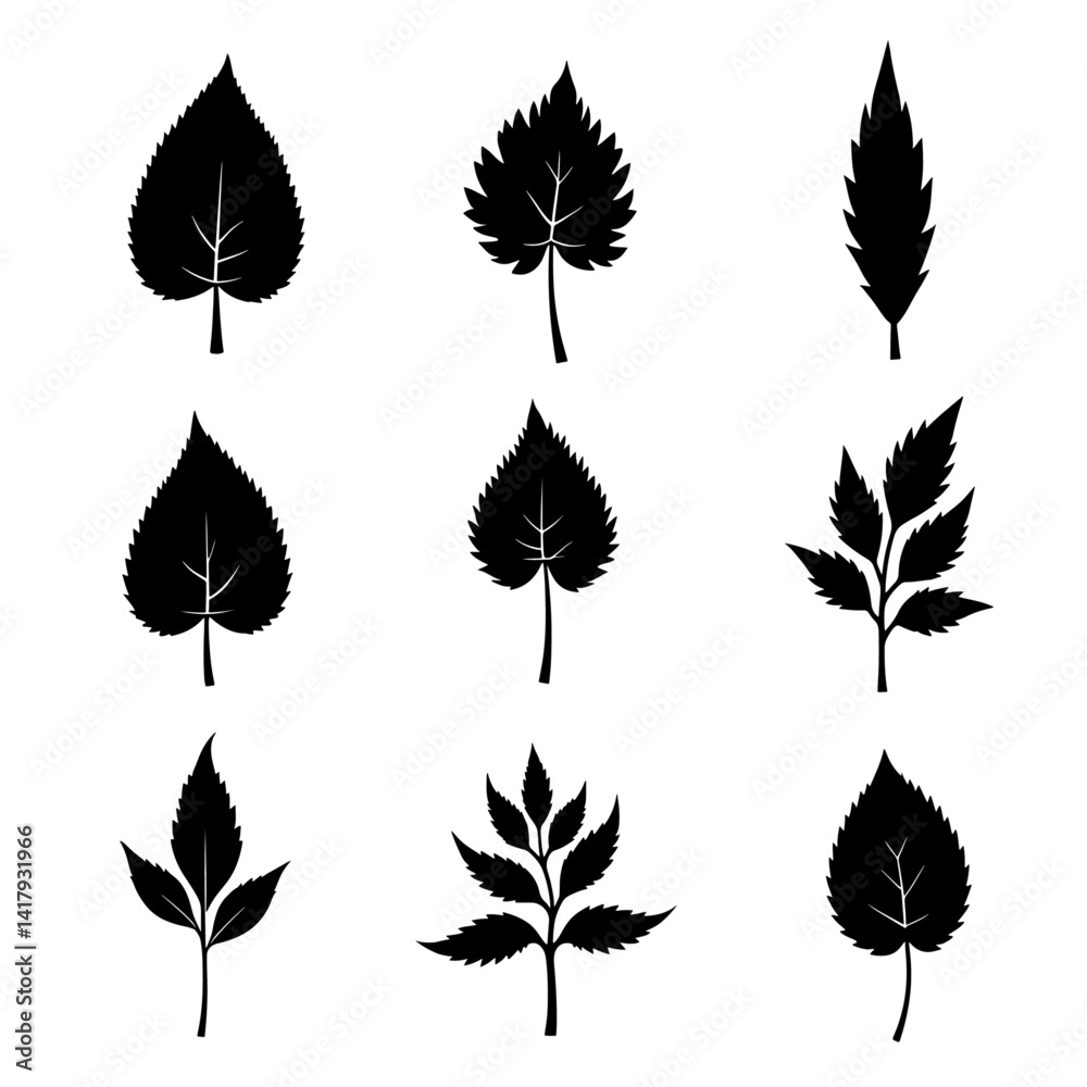 Obraz premium set of autumn leaves