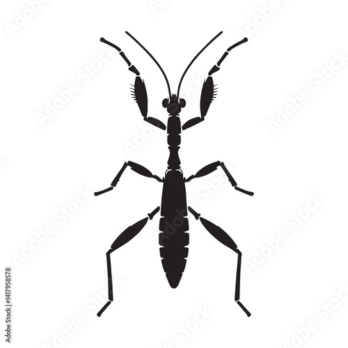 Stealthy Stick Insect silhouette, hidden in the undergrowth – Stick Insect illustration – Stick Insect vector – Insect silhouette

