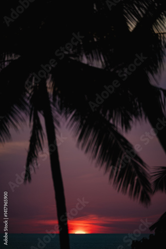 Obraz na płótnie Serene view of a tropical ocean sunset framed by palm trees, with colorful clouds and a glowing sun touching the sea. w salonie