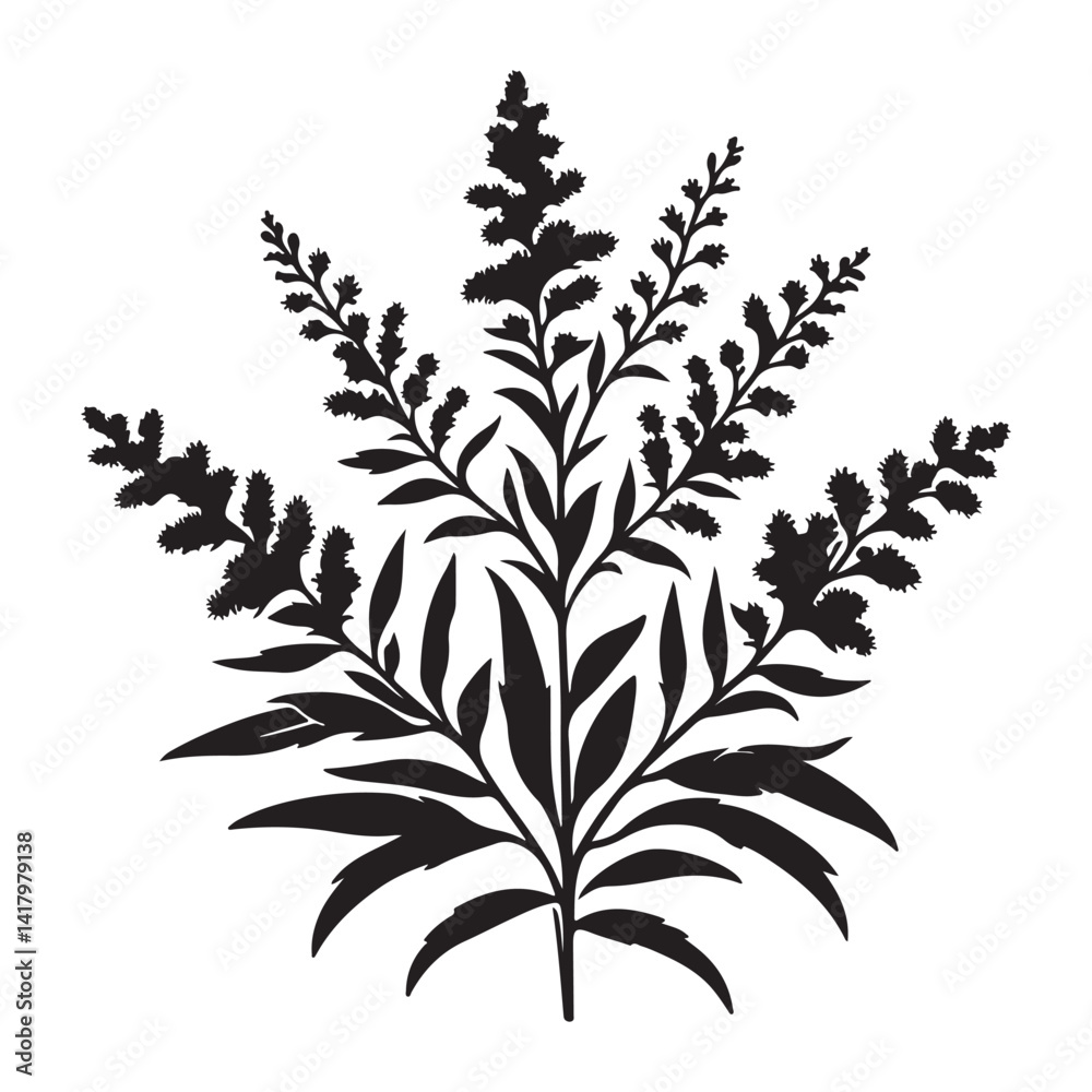 Naklejka premium Goldenrod Flower Silhouette Vector Illustration Black and White Design