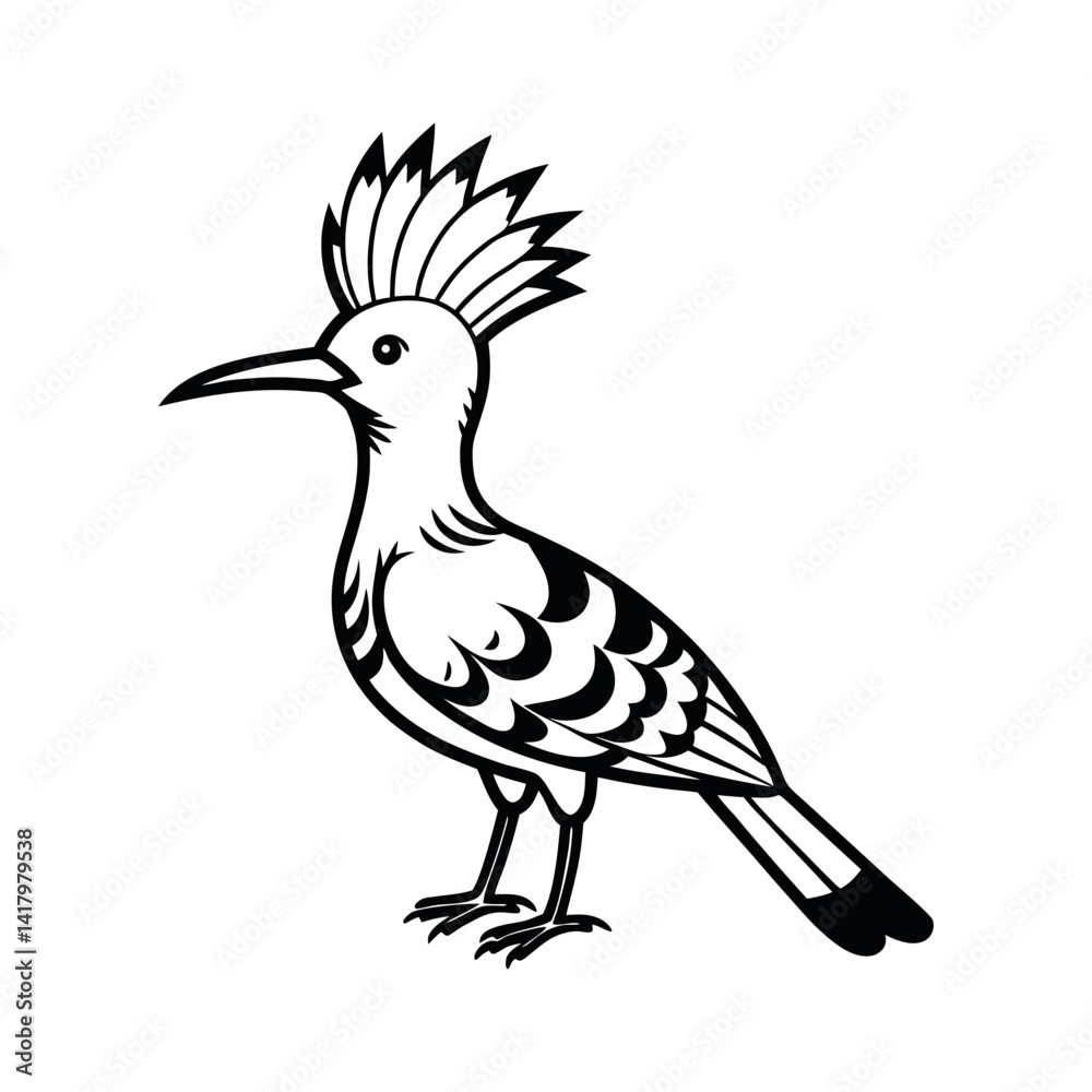 Fototapeta premium Chukar Partridge Bird Color Vector Illustration