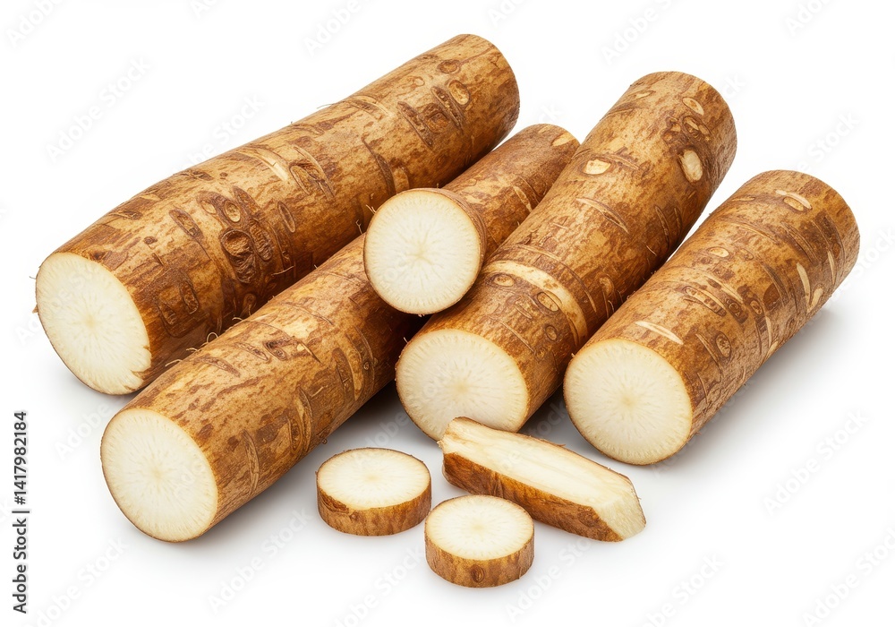 Several pieces of burdock root with rough brown skin and freshly cut ends showing pale interior isolated on white background Several pieces of burdock root with rough brown skin and freshly cut ends showing pale interior isolated on white background