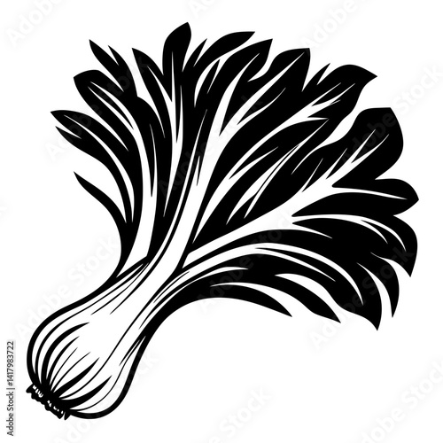 Monochrome vector illustration of Bok Choy Chinese Cabbage on white background