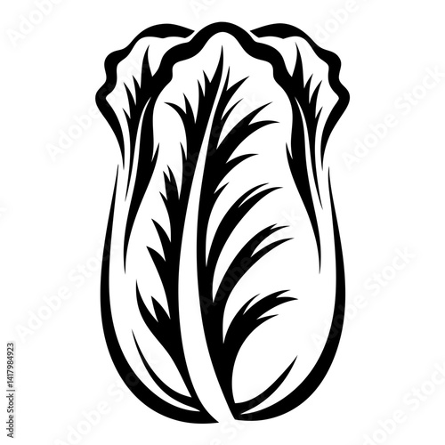 Monochrome vector illustration of Chinese Cabbage or Napa Cabbage design element