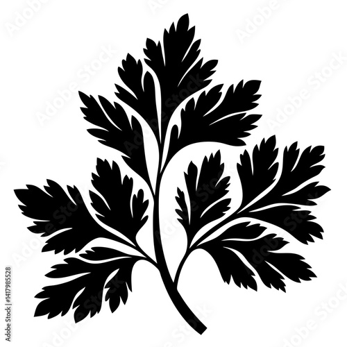 Black and white illustration of a parsley sprig with detailed leaf structure