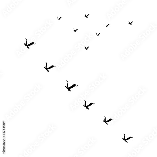 birds in the sky