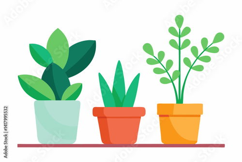 green plant in a pot