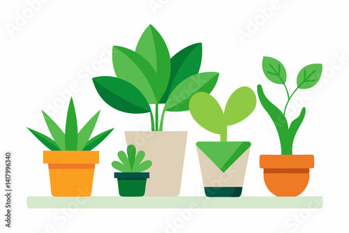 green plant in a pot