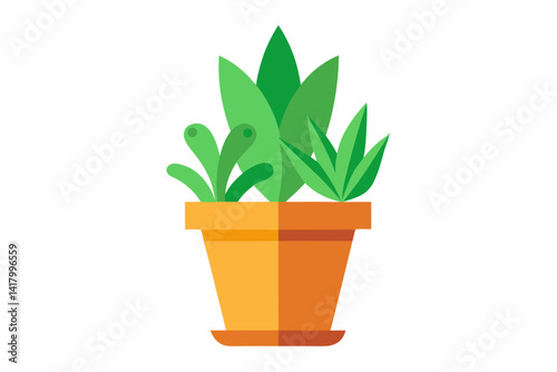 green plant in a pot