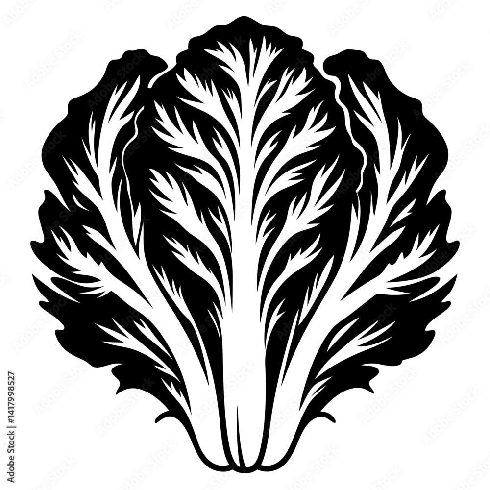 Obraz premium Stylized monochromatic Napa cabbage vector illustration against a white background design
