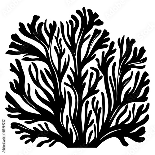 Stylized Black and White Illustration of Seaweed with Elongated Branching Structure